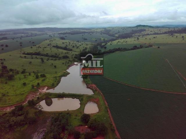 Área irrigada ( pivo central ) Fazenda 68 alqueires ( 333 hectares ) Morrinhos-GO - Foto 6