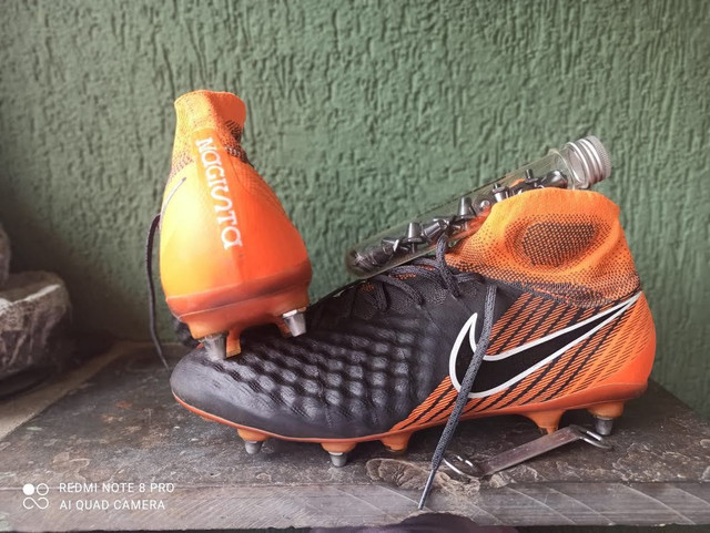 magista profissional