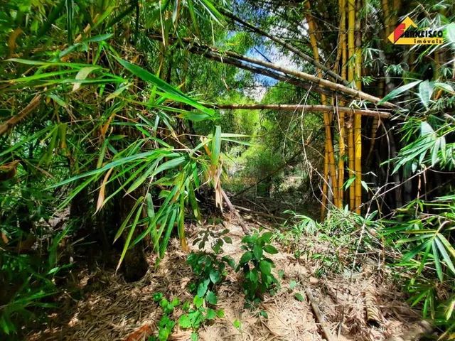 Lote à venda, Orion - Divinópolis/MG - Foto 5