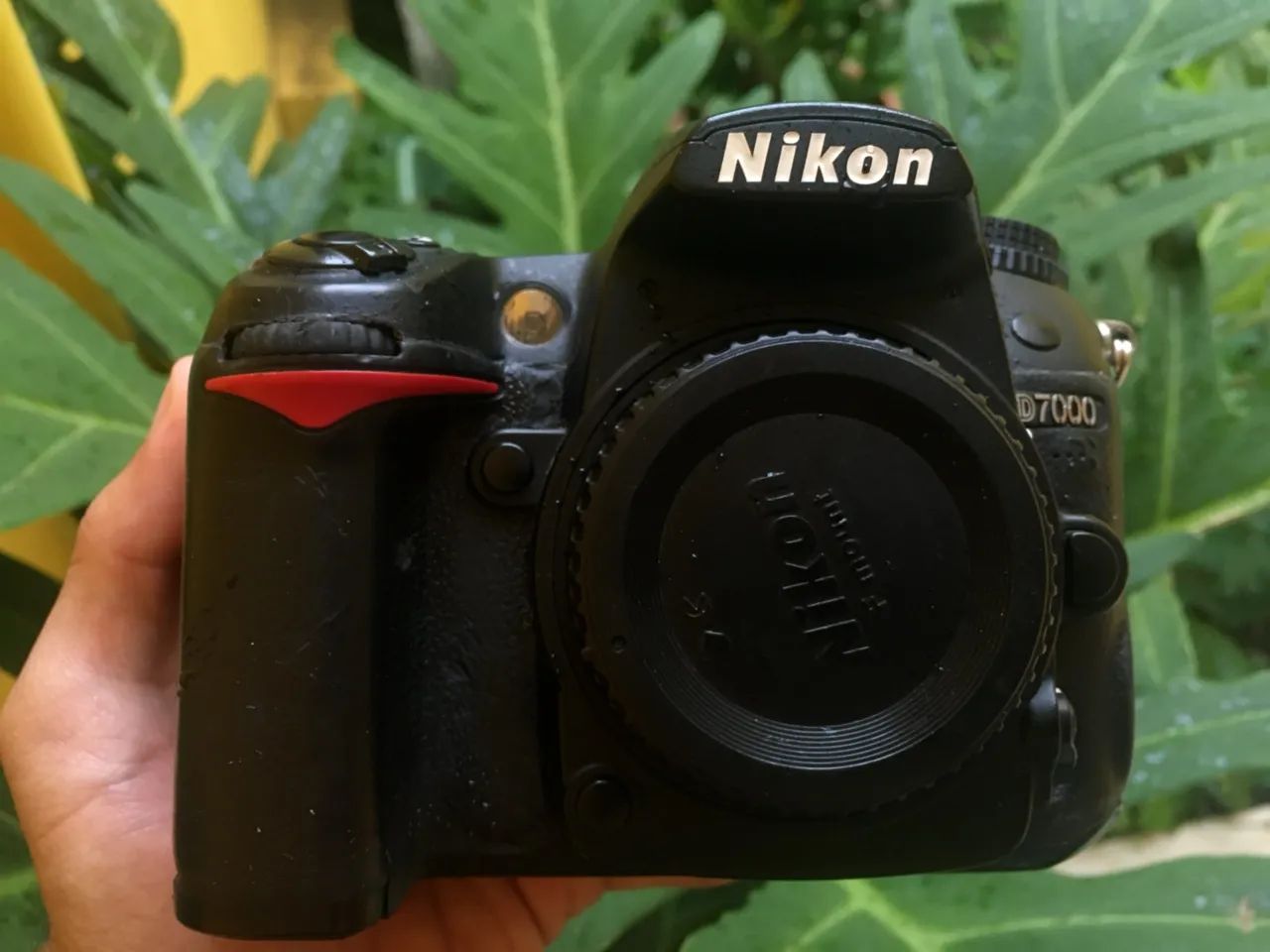Nikon D7000