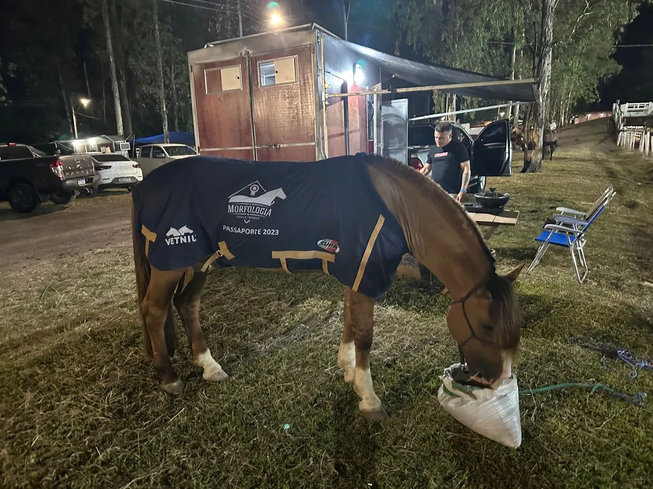 Cavalo inteiro dos diferentes!! - Foto 3