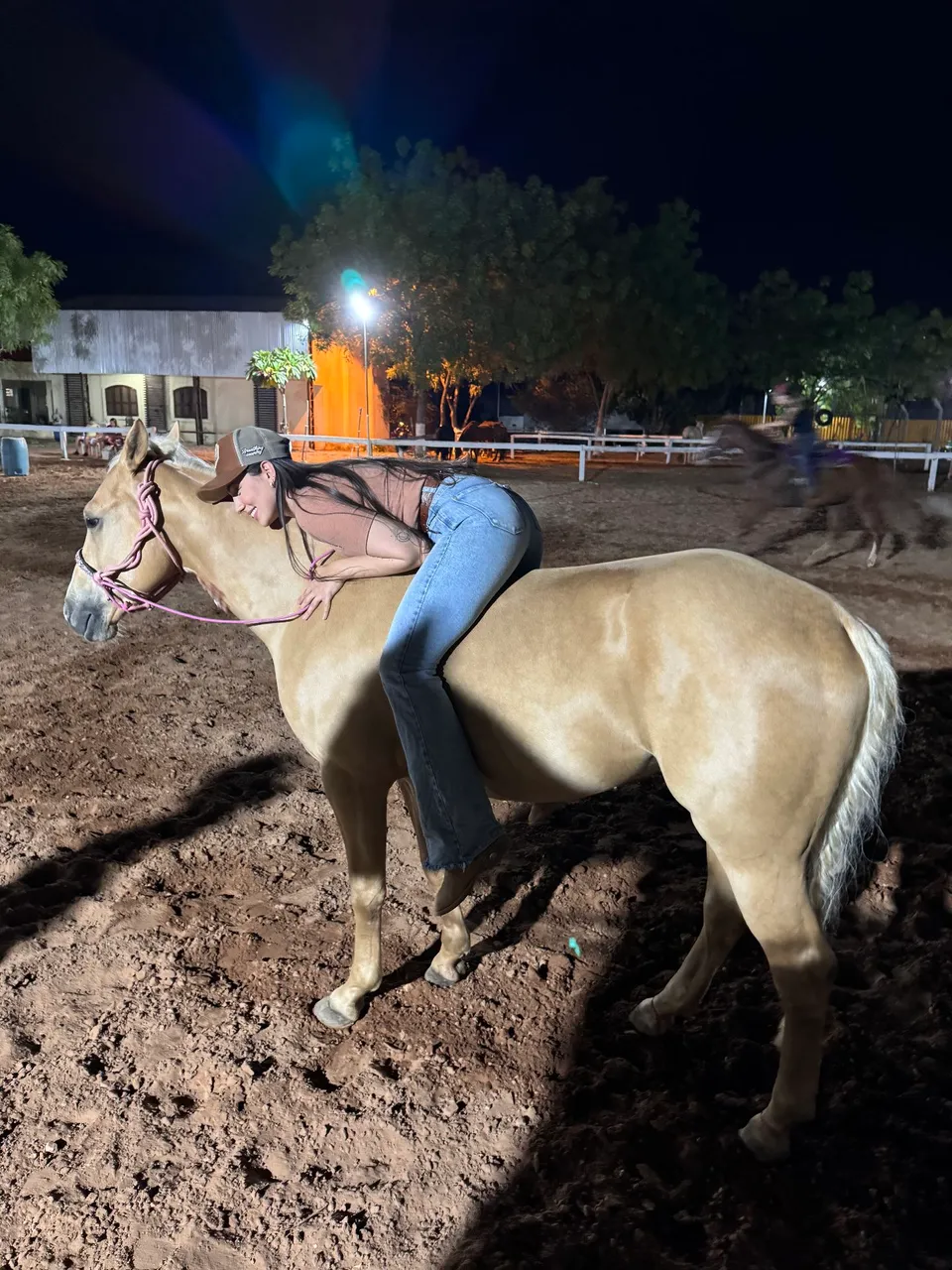 Cavalo quarto de milha com documento a venda