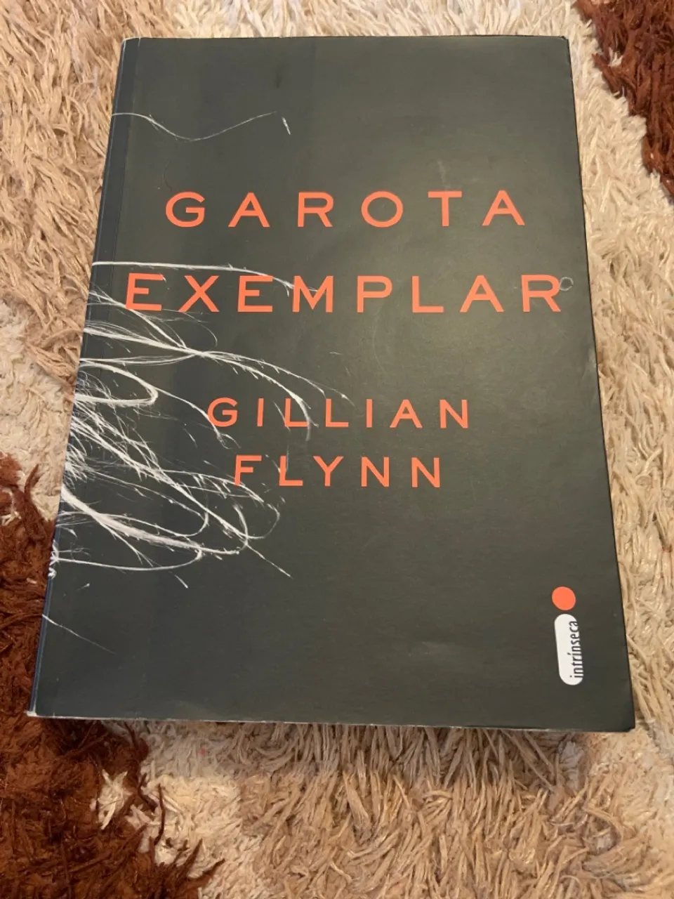 Livro garota exemplar