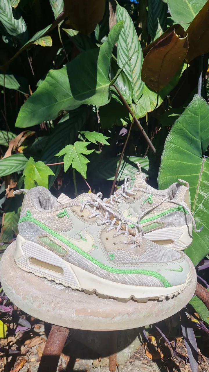 Tênis Nike Air Max 90