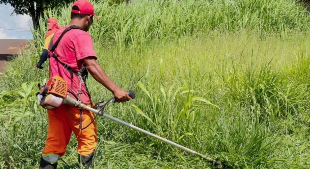 Serviço roçagem e poda de árvore limpeza de terreno  - Foto 3