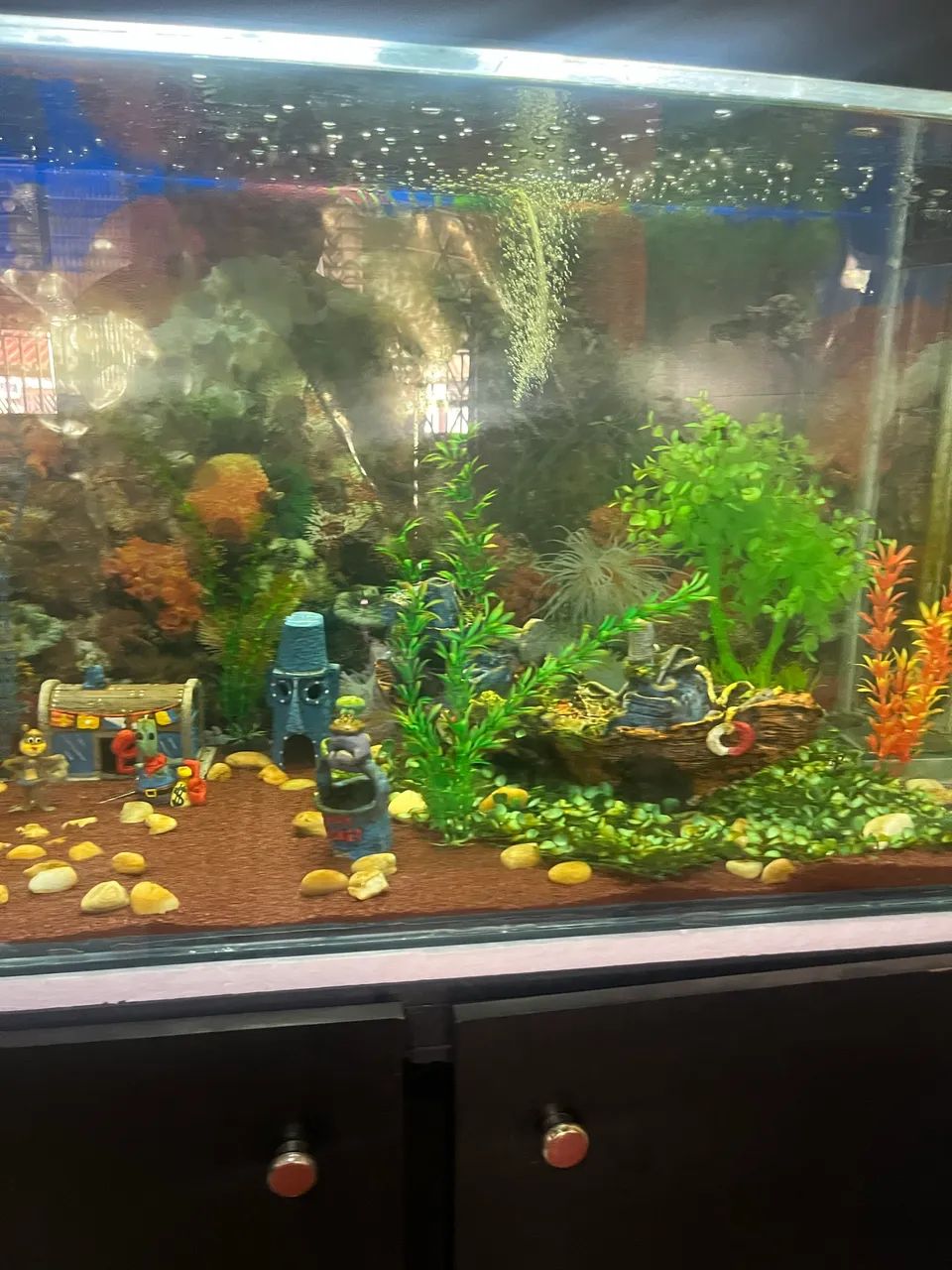 Complete aquarium