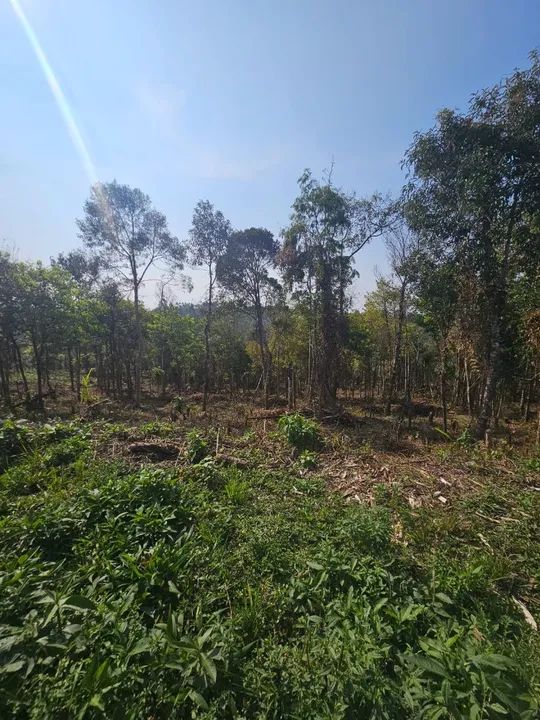 Chacara belas Áreas Roseira Colombo/ Campina Grande do Sul - Foto 10