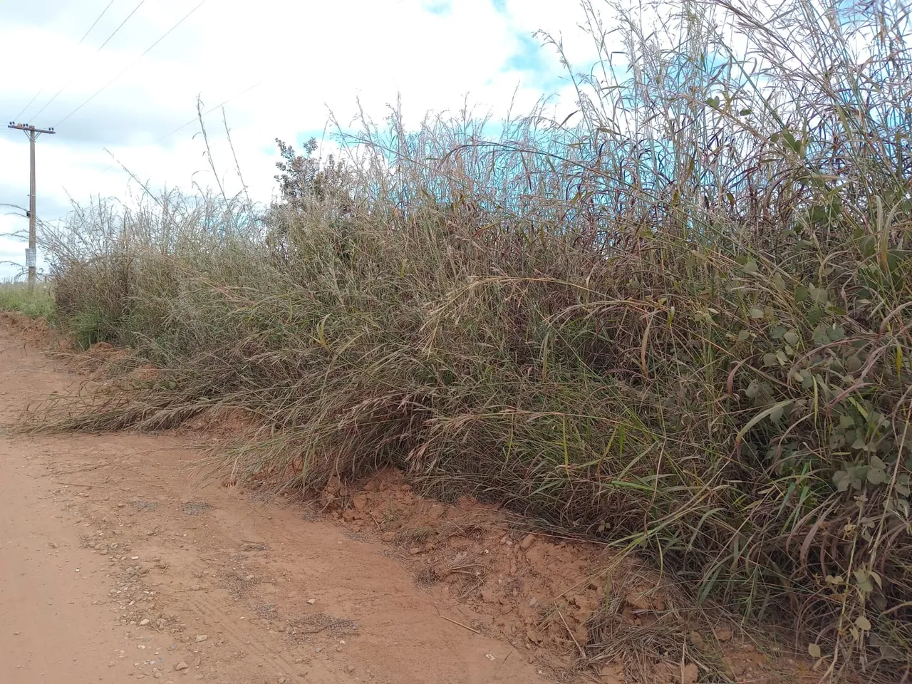 Imóvel para venda no Incra 09 em Área Rural de Ceilândia - Brasília - DF