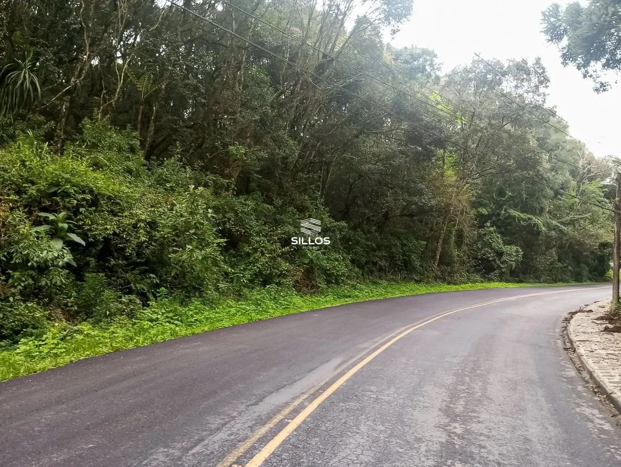 Terreno com 66.589 m² de área total à venda no bairro Ferraria em Campo Largo/PR - Foto 2