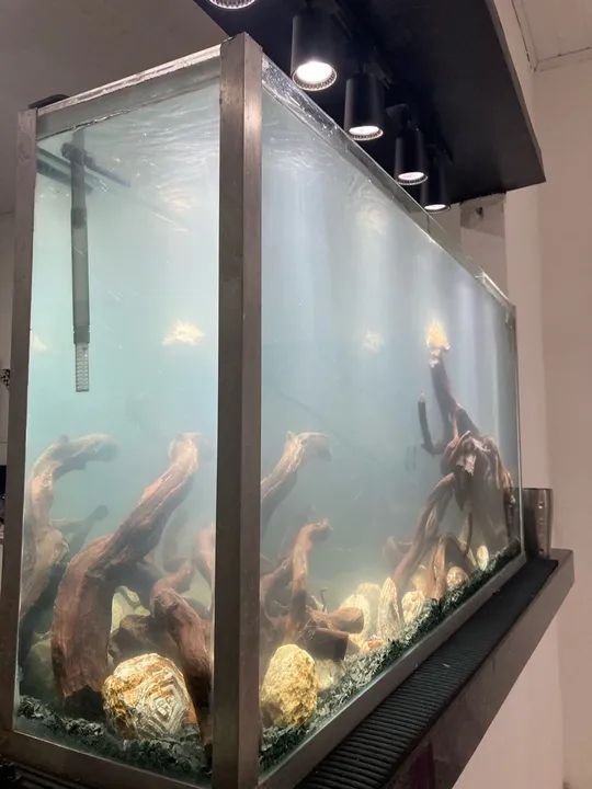 Aquário Plantado 240 litros  - Foto 2