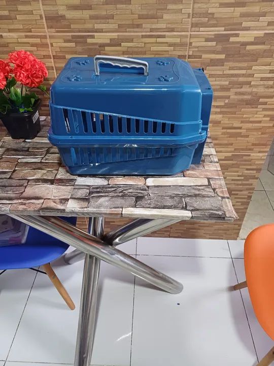 Caixa de Transporte Nr 02 - Foto 5