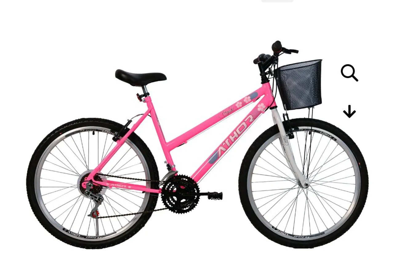 Bicicleta Aro 26 Feminina