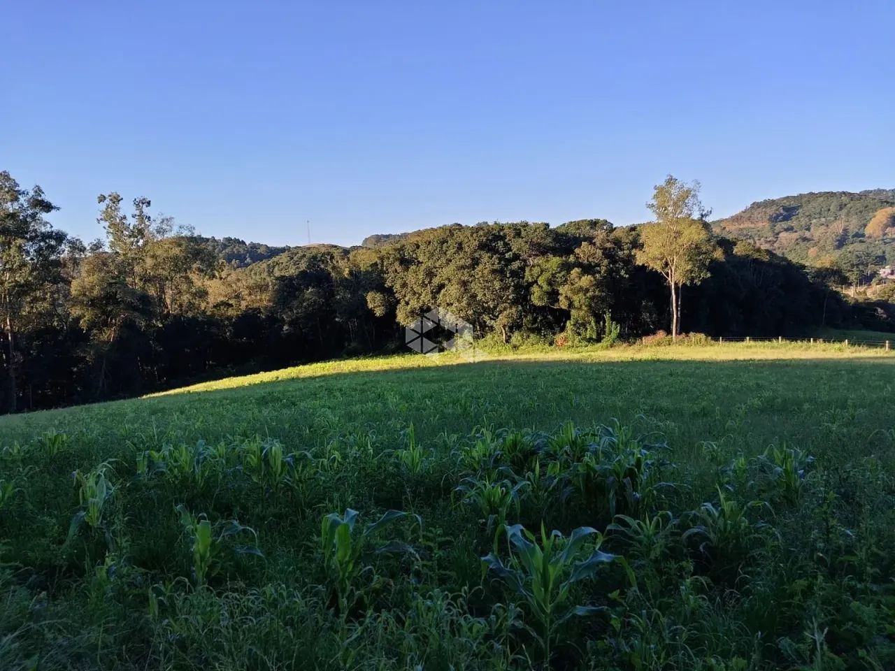 Área de terra de 02 hás agricultável - Foto 5