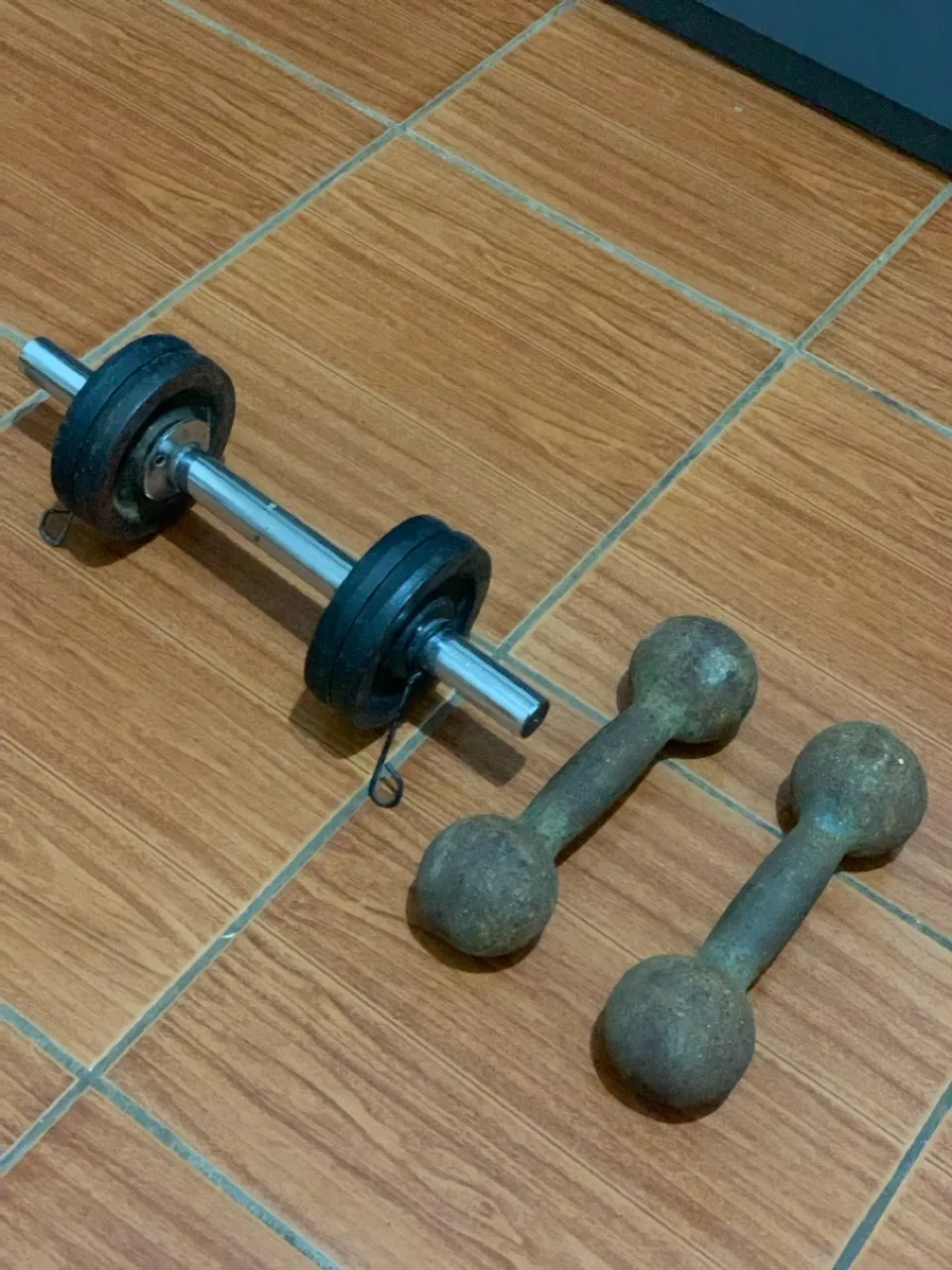 Halteres e Dumbbell para Treino