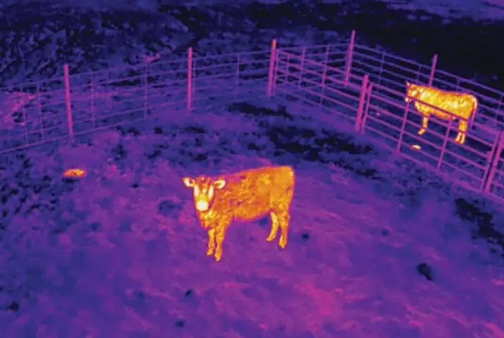 Dji Dock 2 + Matrice 3DT - Foto 5