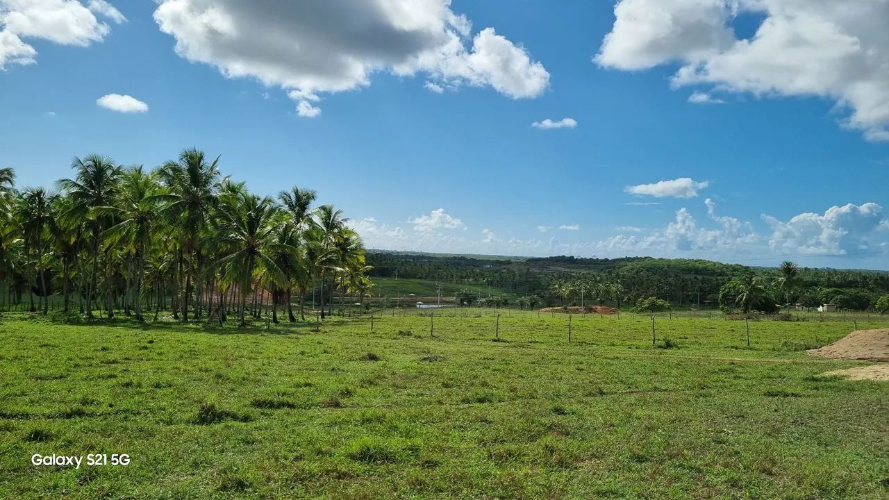 Sitio 28por 80