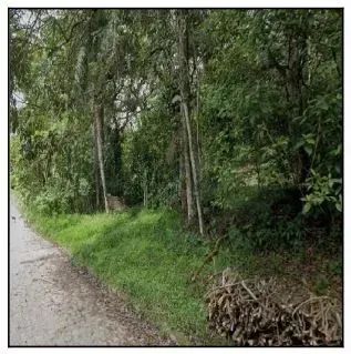 Oportunidade Única em SAO LOURENCO DA MATA - PE | Tipo: Terreno | Negociação: Venda Direta