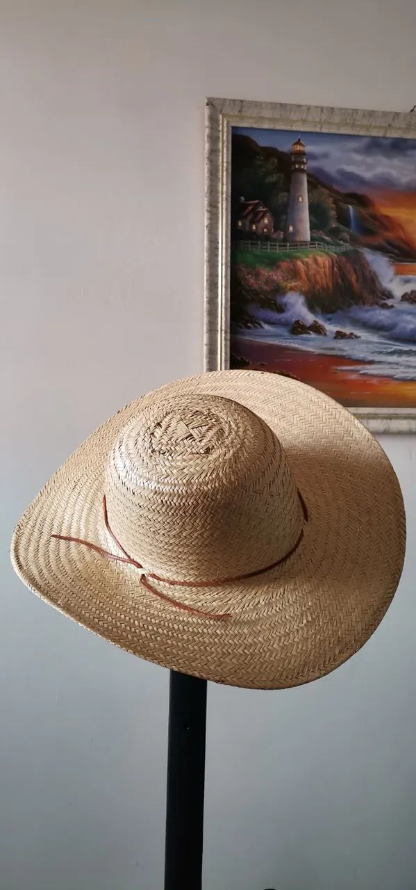 Chapéu Pantaneiro Palha - Foto 5