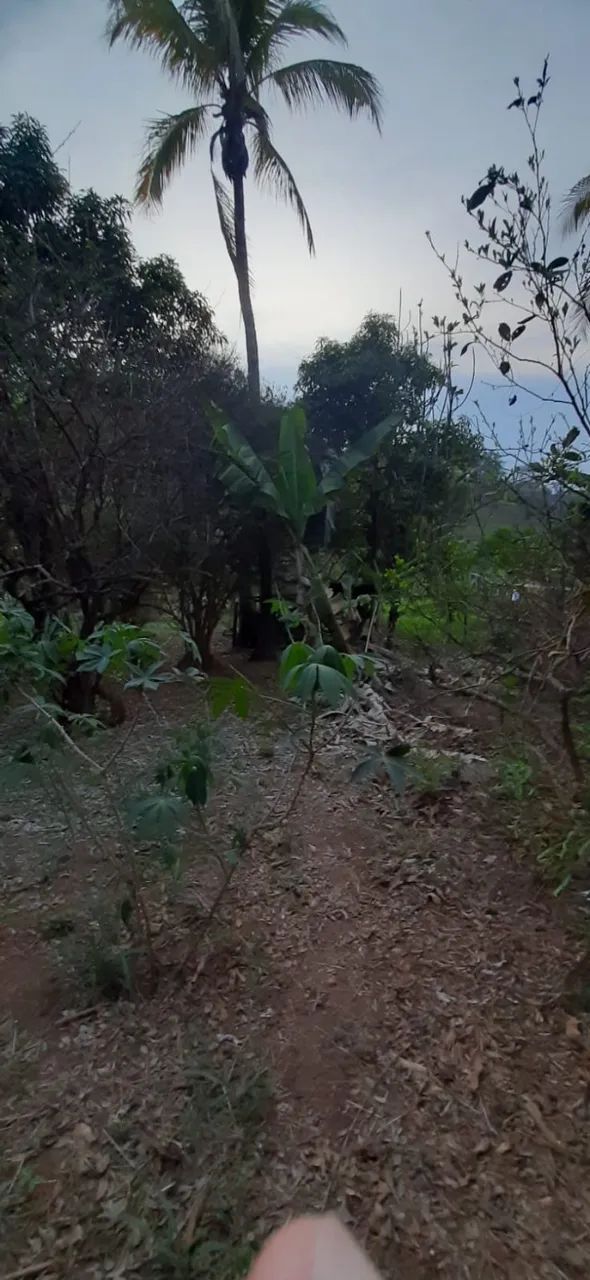 Terreno, 657 m² - Venda - Estrada do Bananal - Itaperuna/RJ - Foto 5
