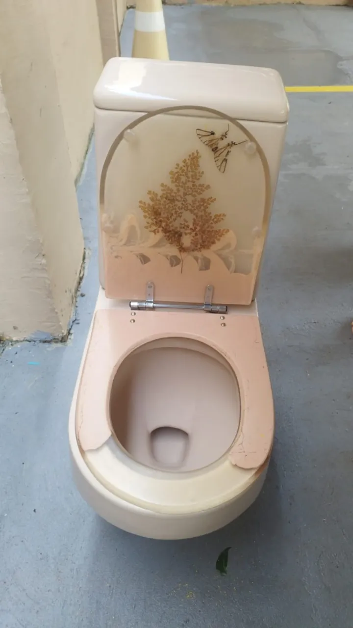 Vendo Vaso Sanitário Rosa - DECA - completo