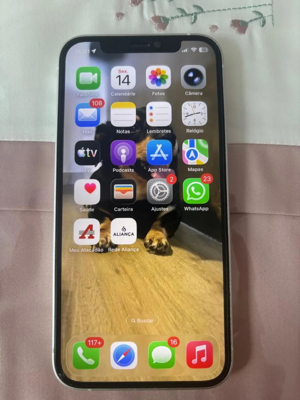 iPhone 12 