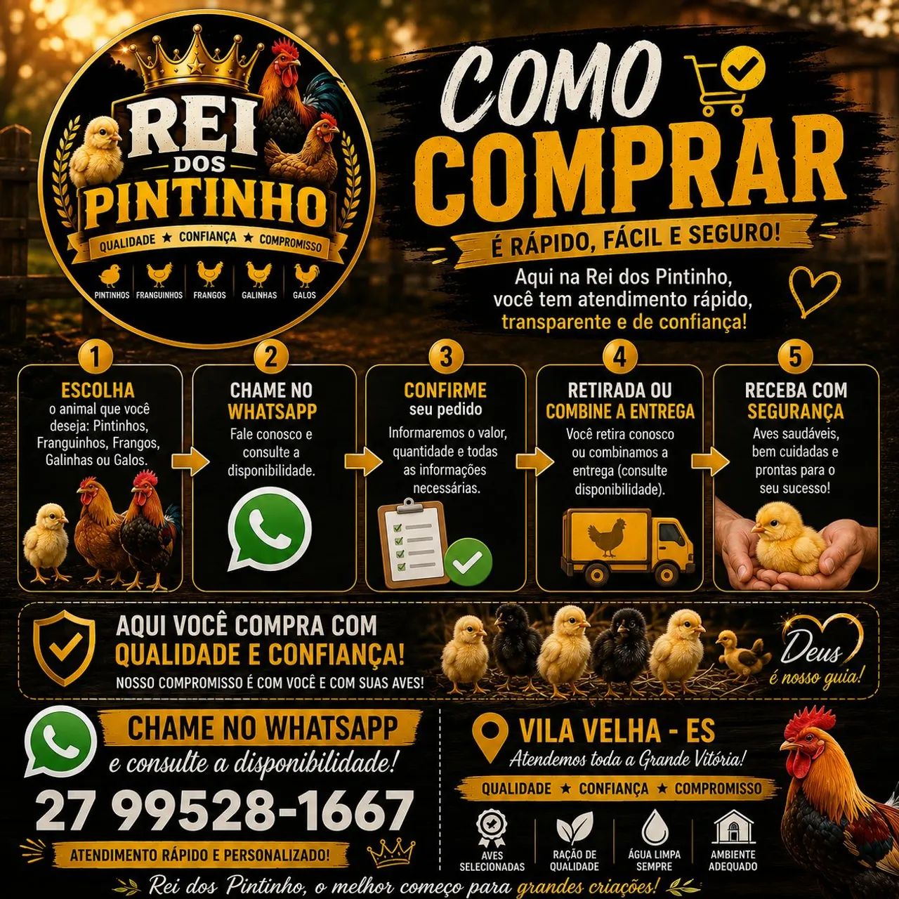 PINTINHOS, FRANGUINHOS, FRANGOS, GALINHAS E GALOS CAIPIRAS! - Foto 6
