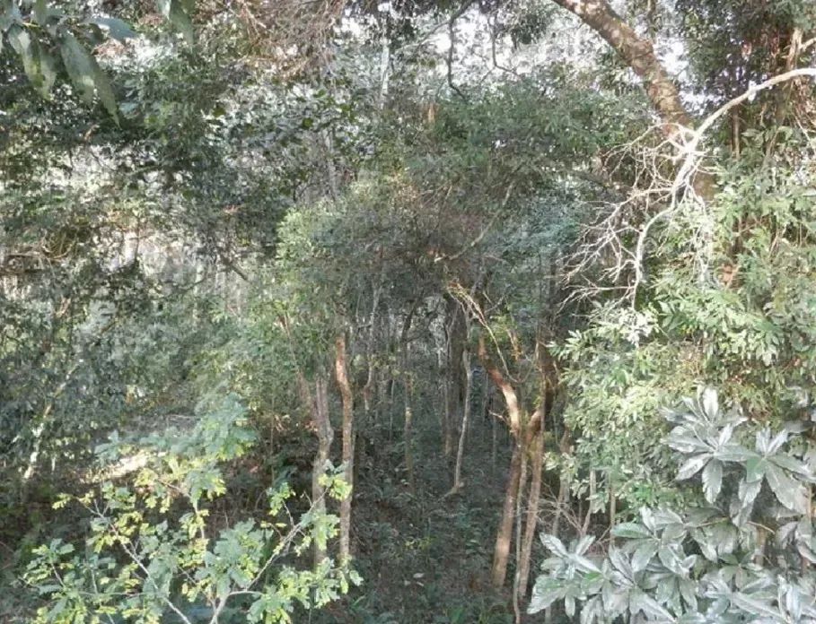 Lote/Terreno para venda com 17332 metros quadrados em Jardim Vargem Grande - Itapevi - São - Foto 6