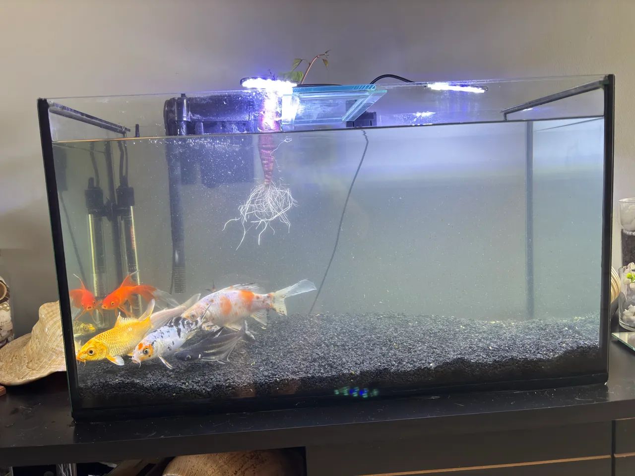 Aquário 80L - Foto 4
