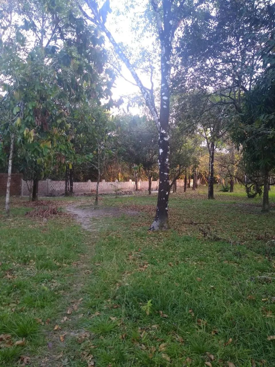 Sitio em Porto Salvo - Foto 5