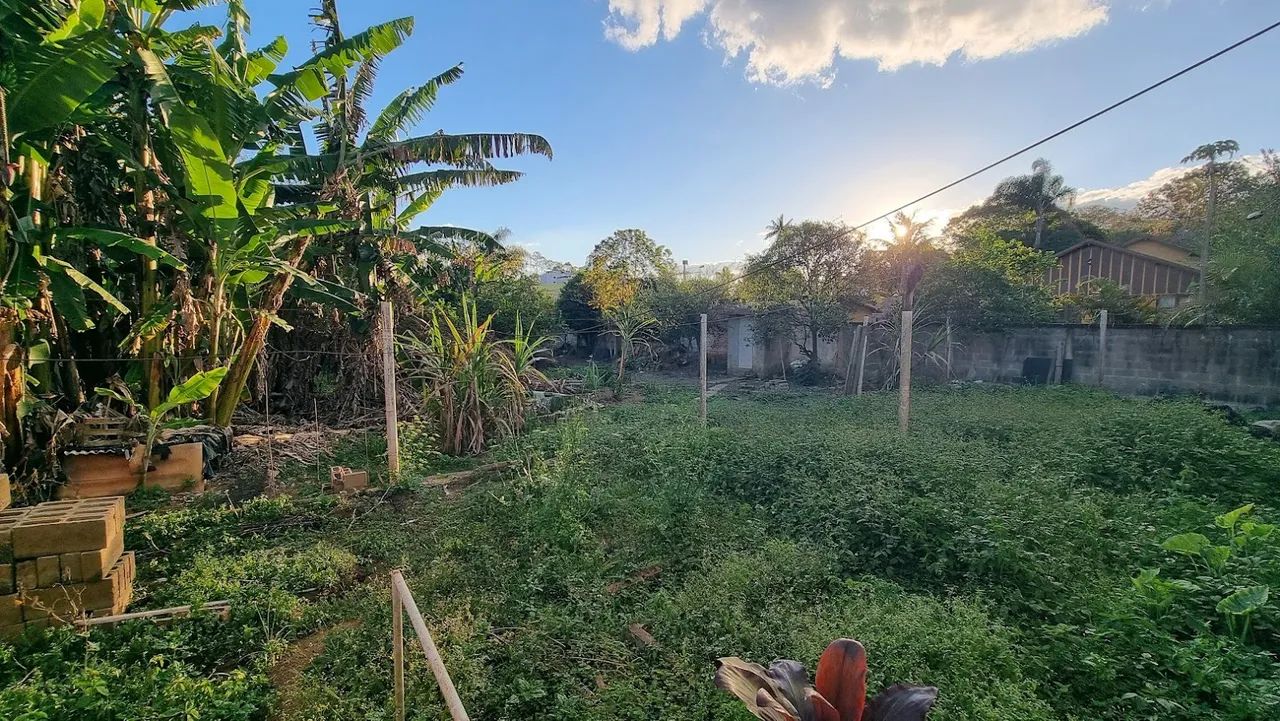 Lote / Terreno - Nova California - Foto 4