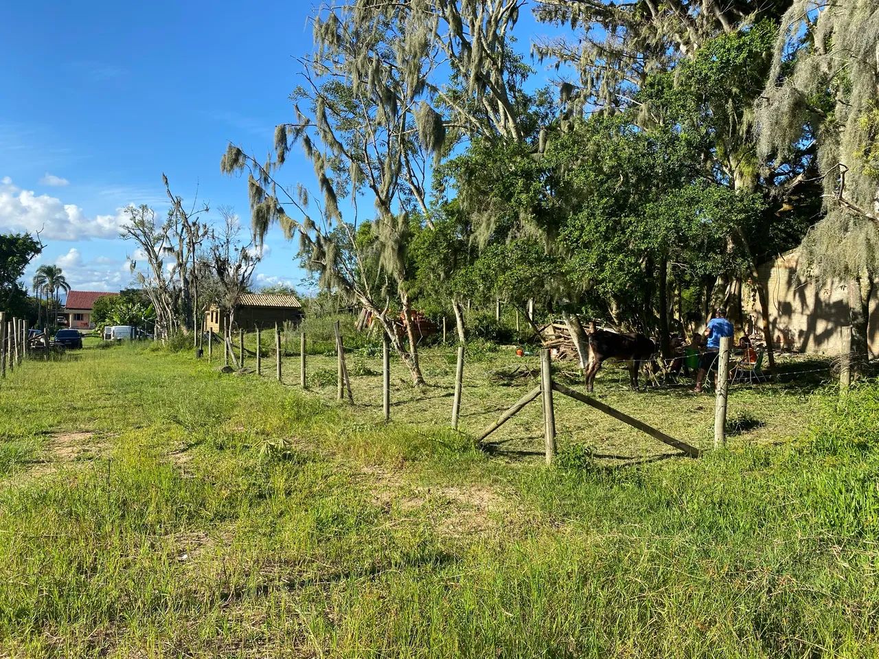 Terrenos à venda em Guaiuba, Imbituba - SC - Foto 4