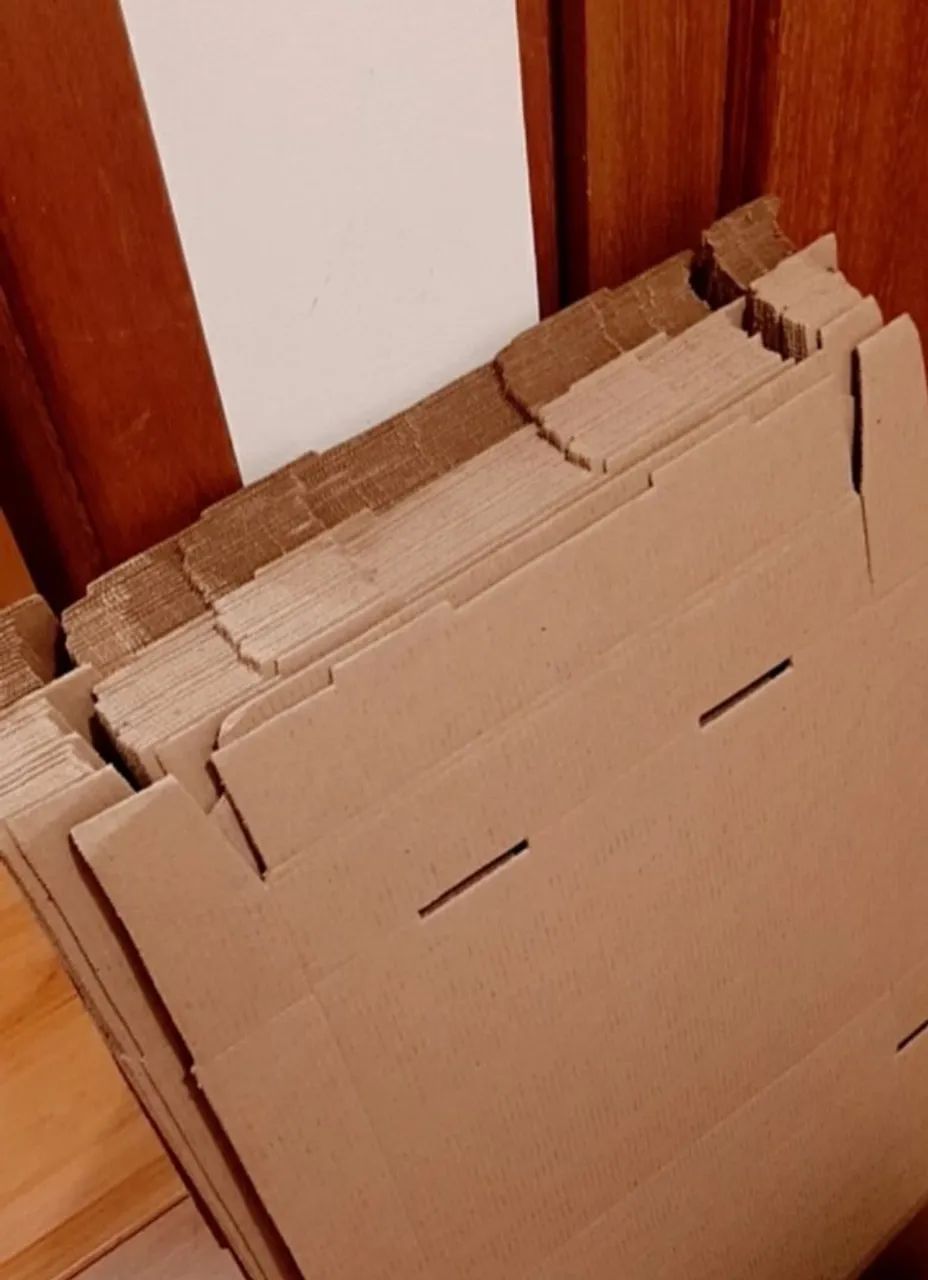 Caixa de Papelão 30x25x5 cm - Foto 2