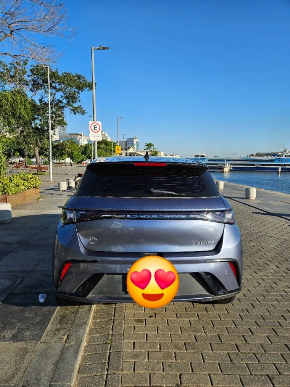 BYD Dolphin Plus (Elétrico) 2025 - Foto 3