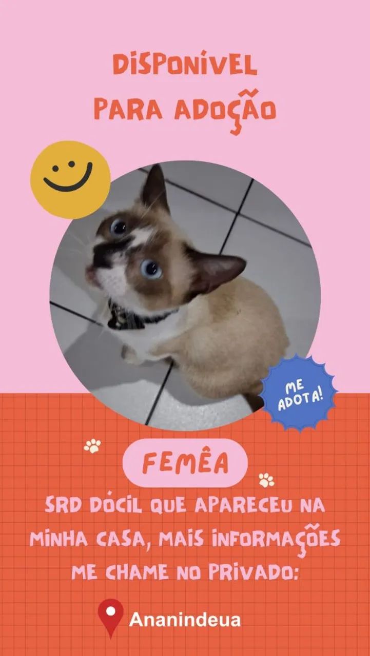 Gata SRD