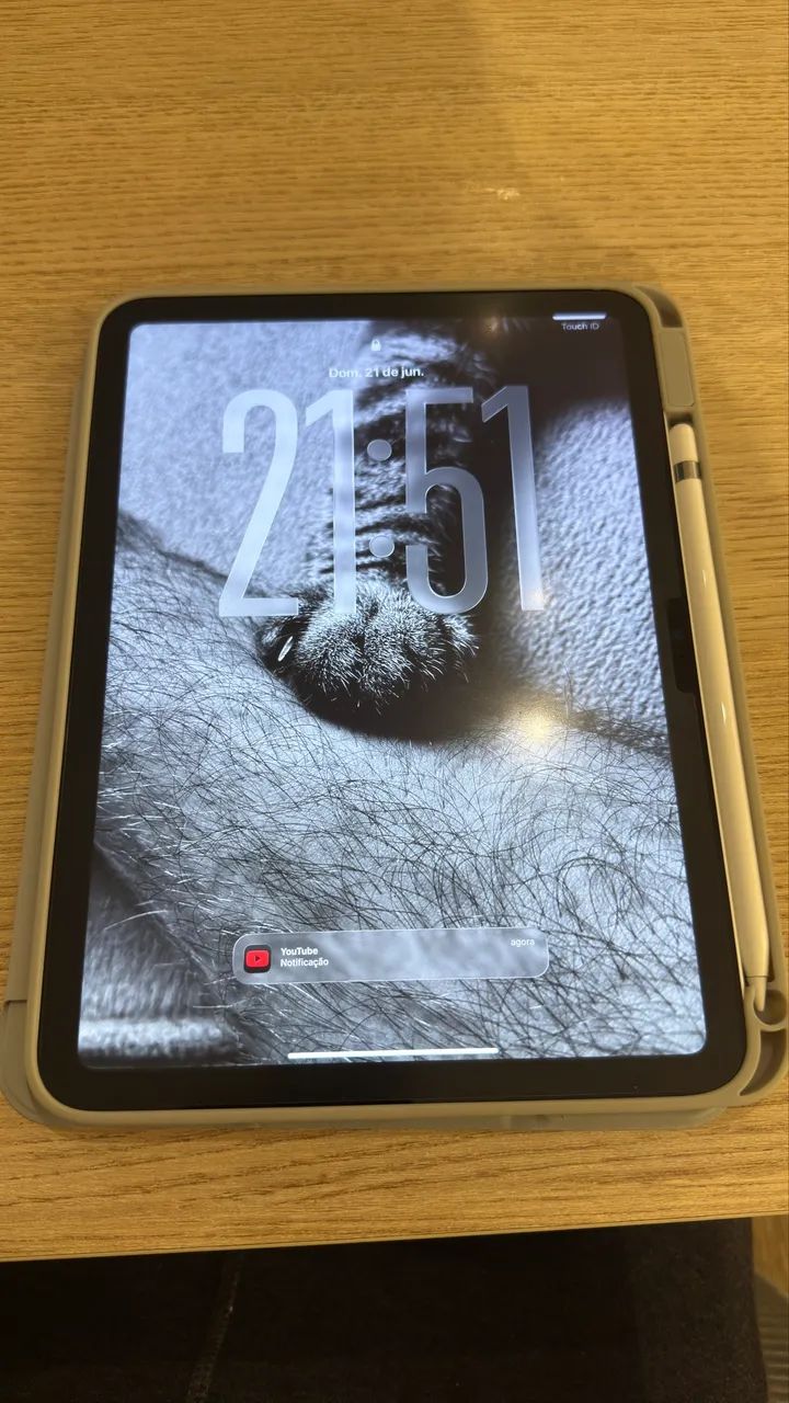 Ipad 11 (A16) 128GB + Apple Pencil 1ª geração - Foto 4