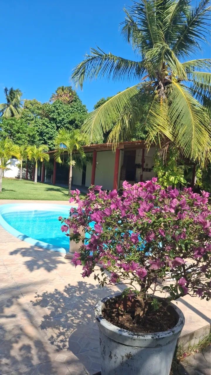 Sítio para alugar (Sitio das Orquídeas) - Foto 3