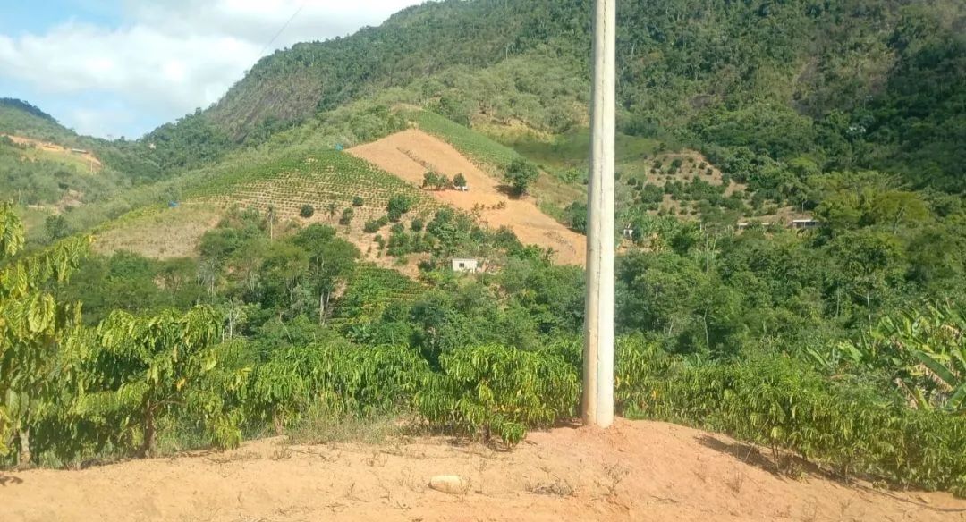 Terreno em Santa Leopoldina  - Foto 2