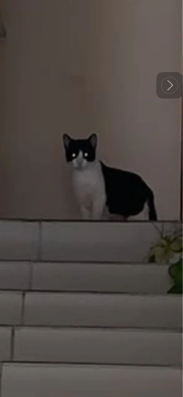 Mim leva pra sua casa  - Foto 4