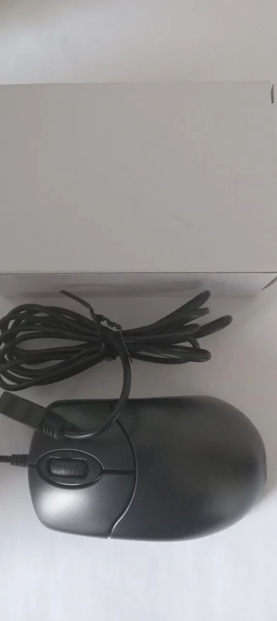 Mouse com cabo. 