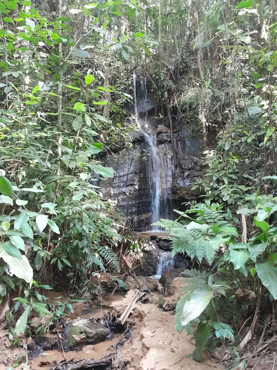 Alugo casa estilo kit net interior marechal floriano 