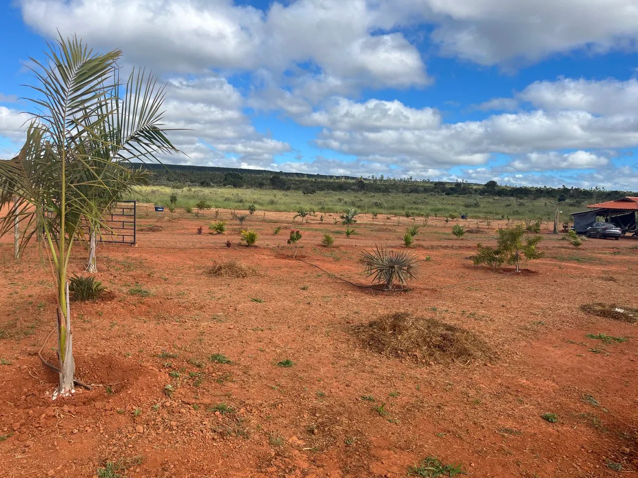 Vendo sítio 2 hectares BR 365, km 26 entrada do Canto de Engenho  - Foto 7