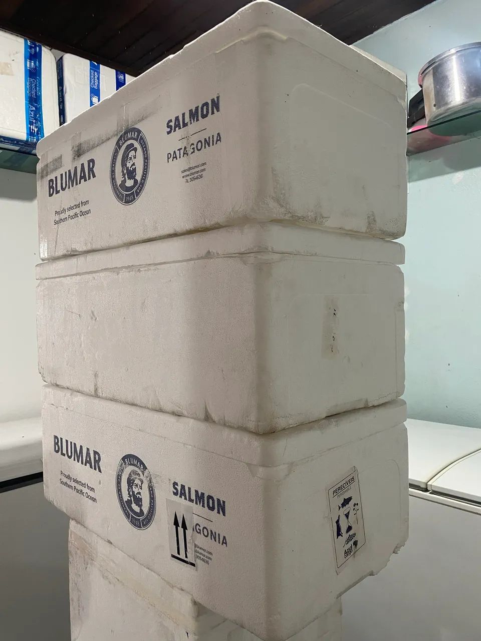Caixas de Isopor 44L e 60L  -  40 unidade - Bom Estado-  - Foto 3