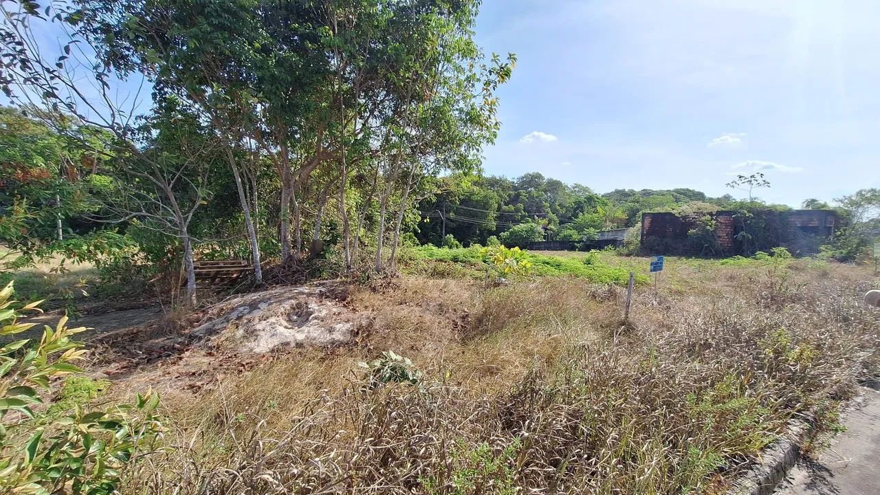 Vendo Repasse de lote  - Foto 4