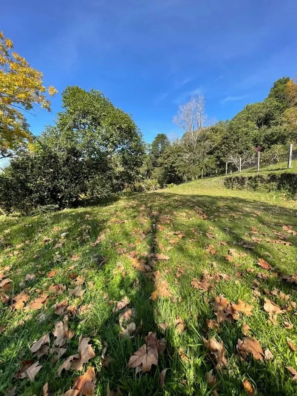 CAXIAS DO SUL - Terreno Padrão - LINHA 40 - Foto 6