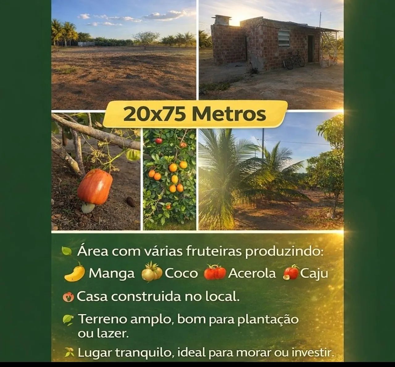 Chácara 20x85 no n2 - Foto 5