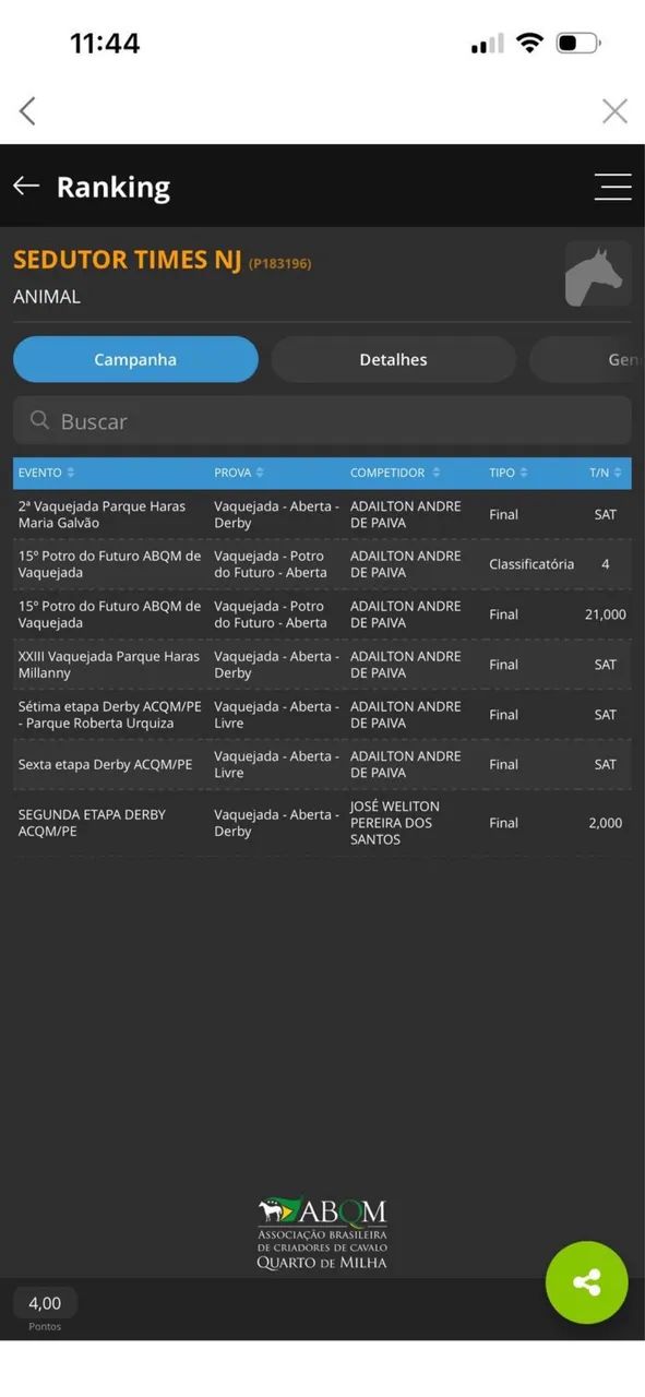 CAVALO DE DIREITA - Foto 6