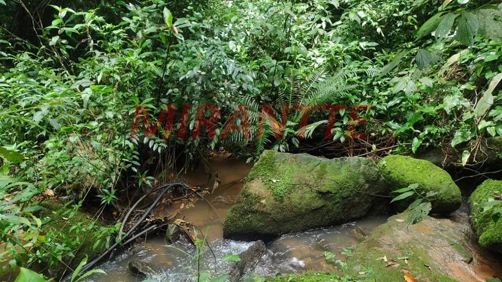 Terreno em Santa Ines - Foto 4