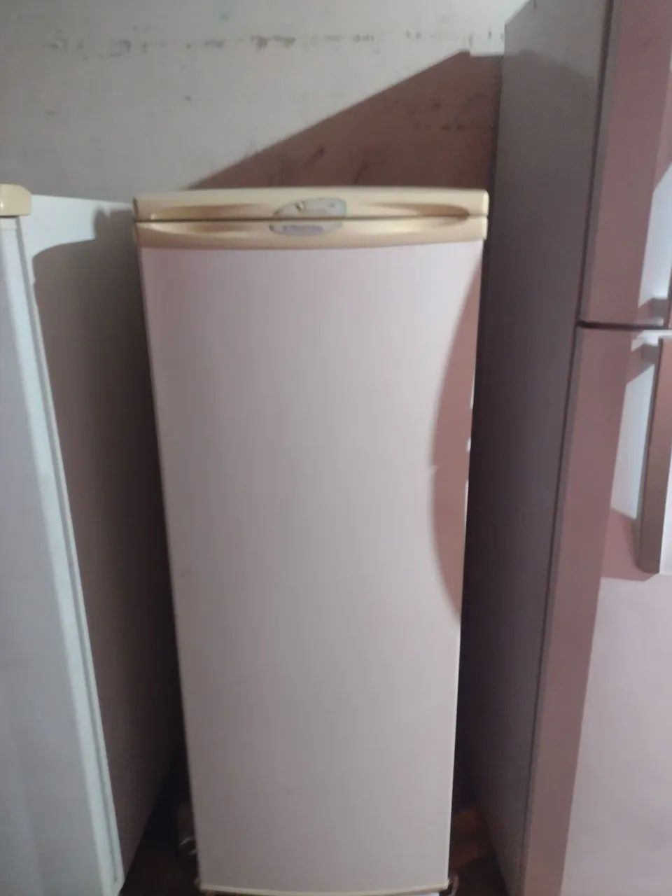 Frizer vertical 
