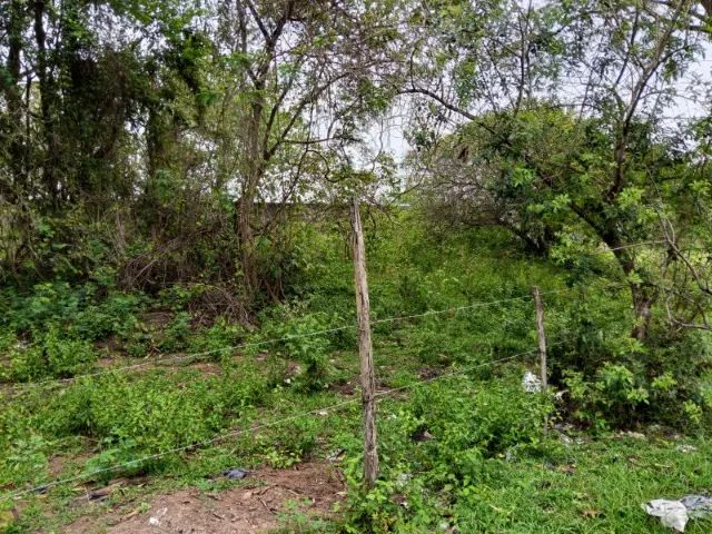 Terreno Itaborai - Foto 4
