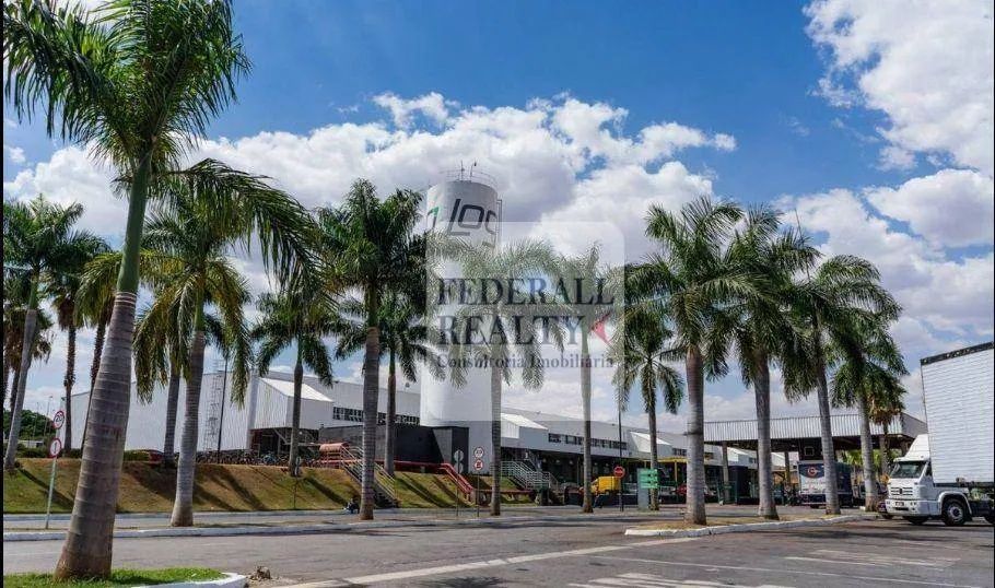 Aluguel de galpão em Condomínio Logístico Goiânia, GO - Foto 4